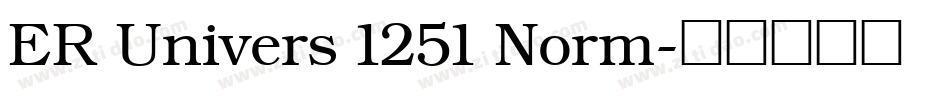 ER Univers 1251 Norm字体转换